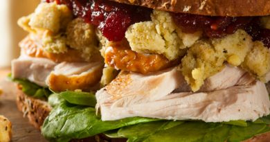 20 Ways To Enjoy Turkey Leftovers