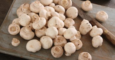Freeze Mushrooms