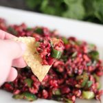 Cranberry Salsa