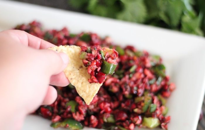 Cranberry Salsa