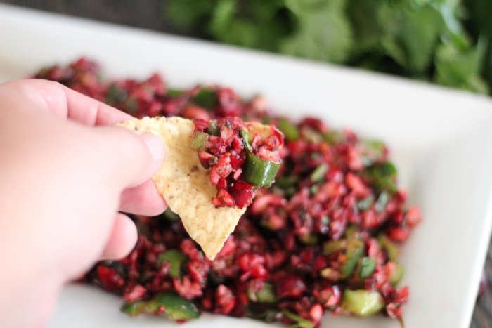 Cranberry Salsa