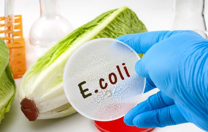 E. Coli Symptoms and Causes
