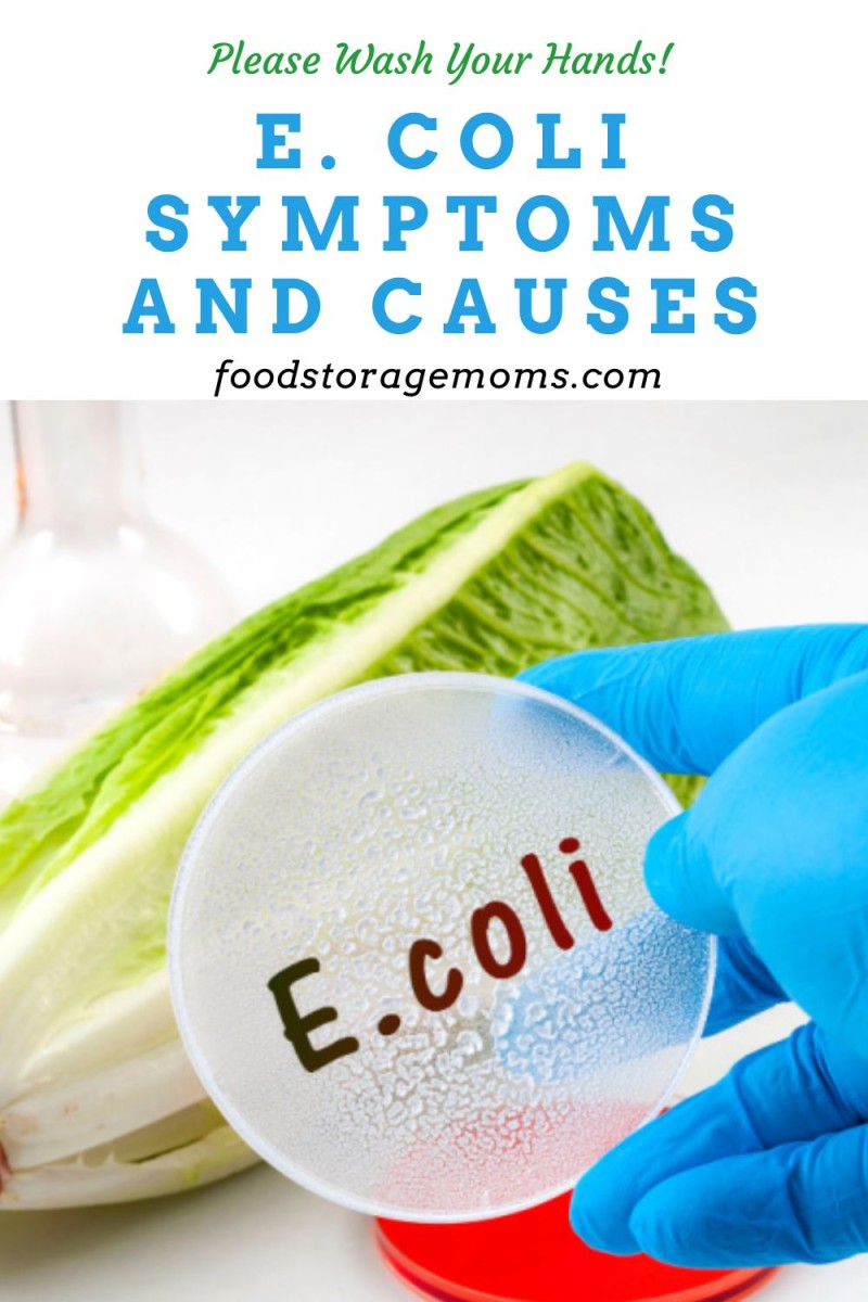 Daily Survival: E. Coli Symptoms and Causes