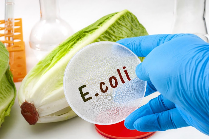 E. Coli Symptoms and Causes