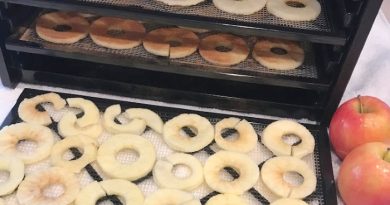 How To Dehydrate Apples