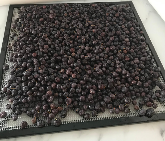 After thawing the berries spread then evenly on a dehydrating rack