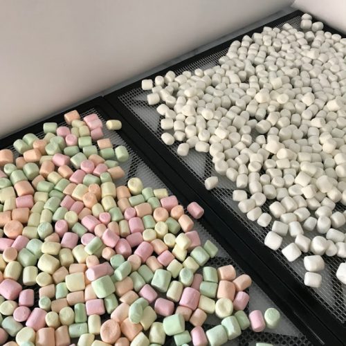 Dehydrating Marshmallows For Hot Cocoa Food Storage Moms