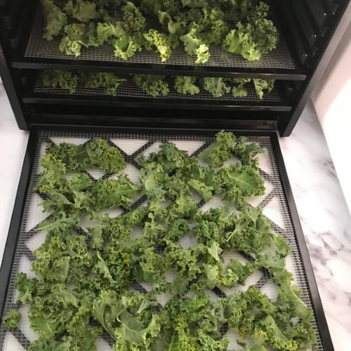 Dehydrating Kale and Make Kale Powder Food Storage Moms