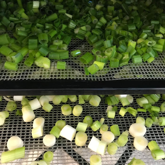 Green onions and Scallions Dehydrating on racks