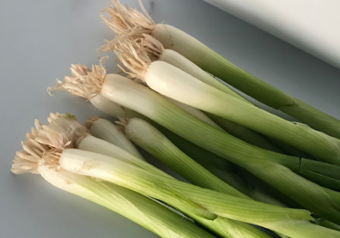 How to Dehydrate Green Onions & Make Powder