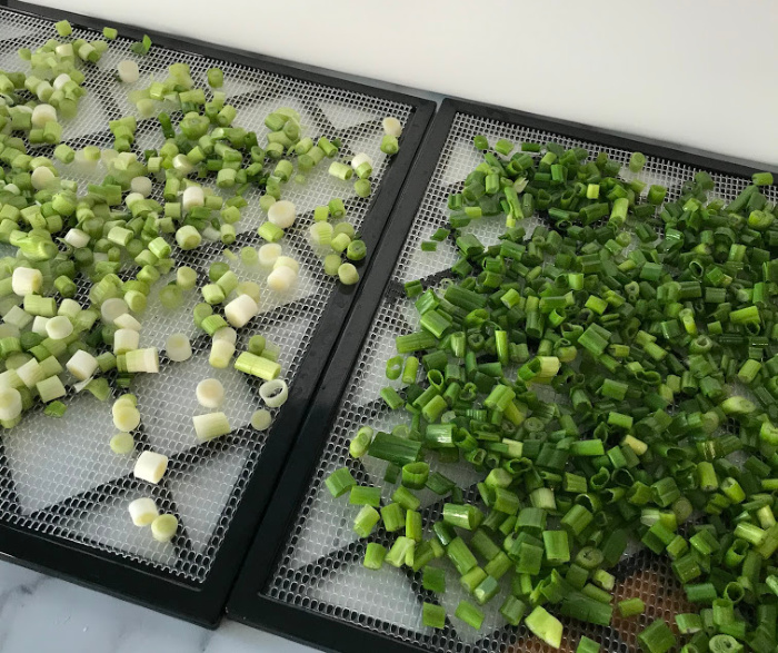 Green onions and Scallions ready to dehydrate