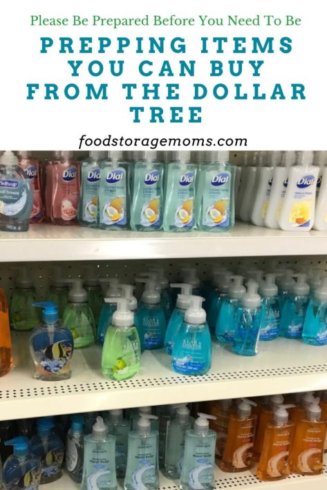 Prepping Items You Can Buy From The Dollar Tree