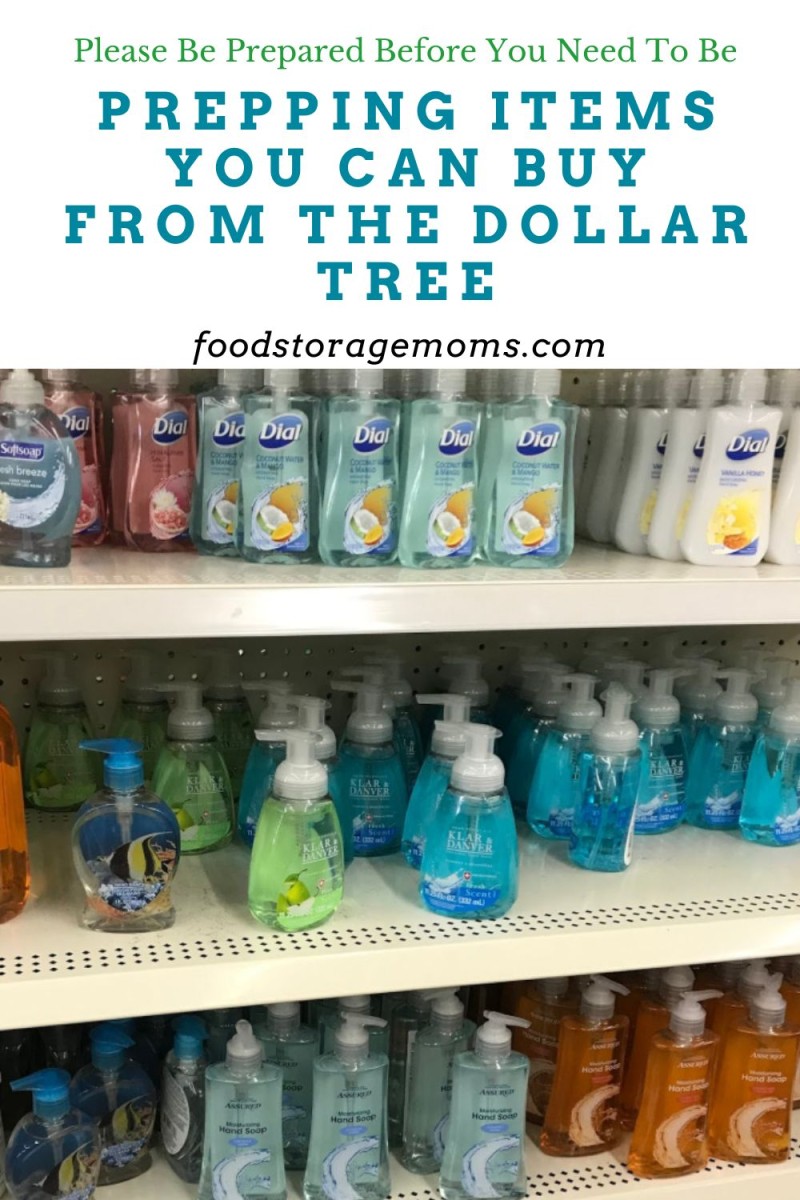 Prepping Items You Can Buy From The Dollar Tree Food Storage Moms