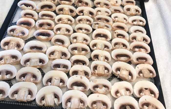 Step By Step Dehydrating Mushrooms