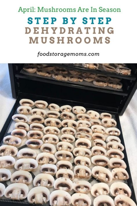 Step By Step Dehydrating Mushrooms