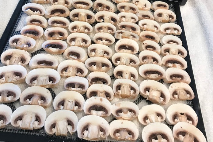 Dehydrating Mushrooms