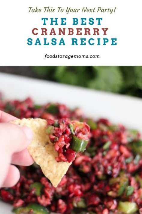 The Best Cranberry Salsa Recipe