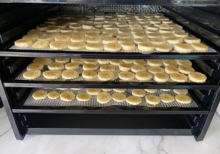 Sliced Bananas in Dehydrator