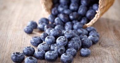 Dehydrate Blueberries and Make Powder