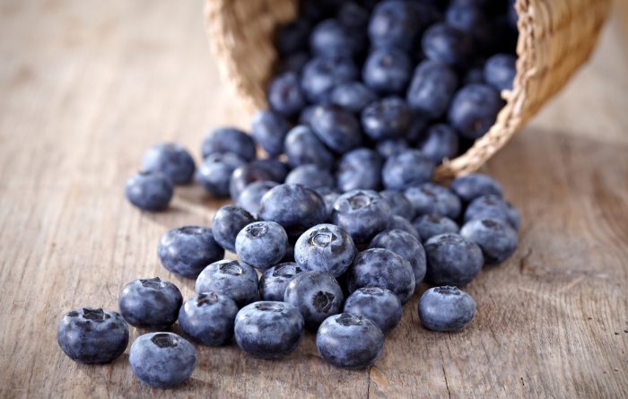 Dehydrate Blueberries and Make Powder