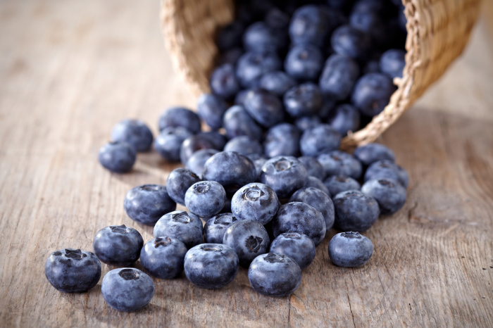 Dehydrating Blueberries and Make Blueberry Powder