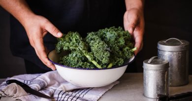 How To Dehydrate Kale and Make Kale Chips