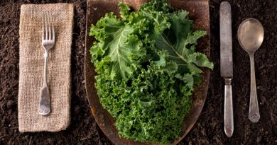How To Make Kale Powder and Use It Every Day