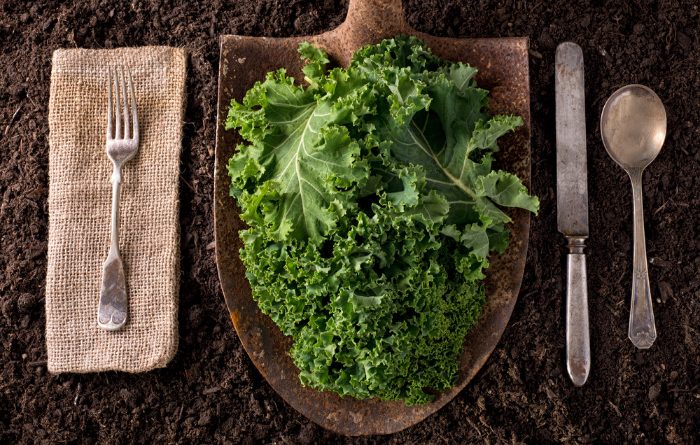 How To Make Kale Powder and Use It Every Day