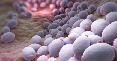 Picture of Candida Yeast Growing