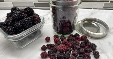 Blackberries in Jars