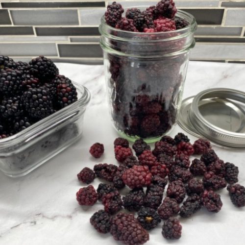 How To Dehydrate Blackberries & Make Blackberry Powder Food Storage Moms