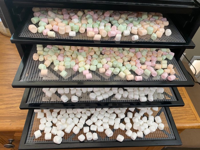 https://www.foodstoragemoms.com/wp-content/uploads/2020/01/Dehydrating-Marshmallows-For-Hot-Cocoa-2.jpeg