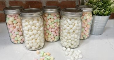 Dehydrating Marshmallows For Hot Cocoa