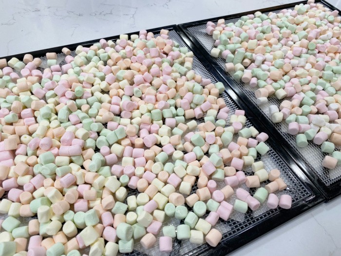 https://www.foodstoragemoms.com/wp-content/uploads/2020/01/Dehydrating-Marshmallows-For-Hot-Cocoa-4.jpeg