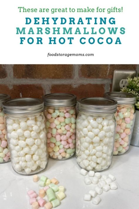 How to Dehydrate Marshmallows & Make Marshmallow Powder - The