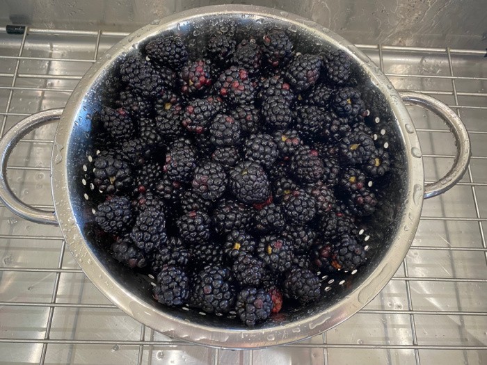 Blackberries Being Washed