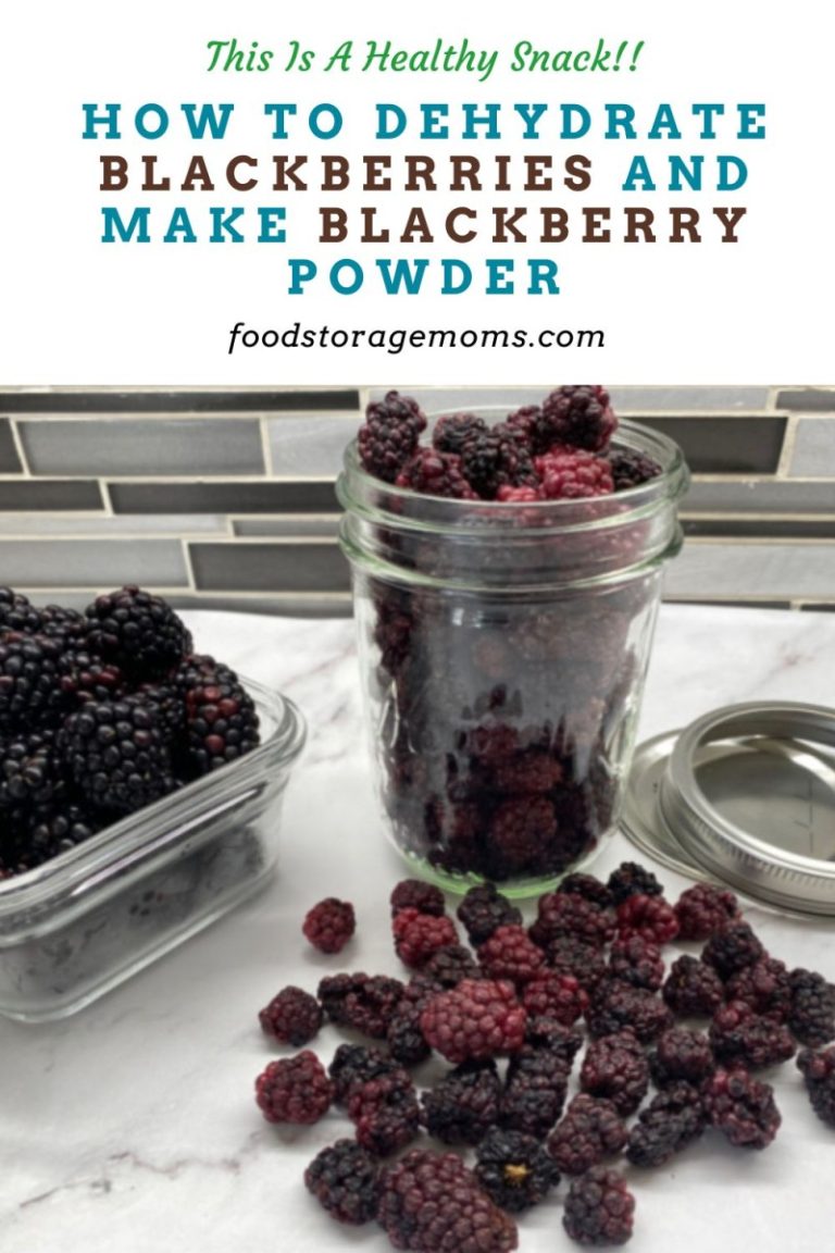How To Dehydrate Blackberries & Make Blackberry Powder Food Storage Moms