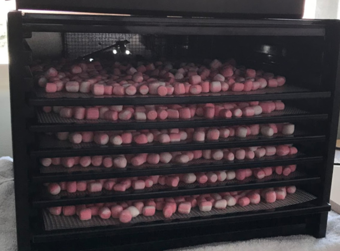 Marshmallows on dehydrating racks