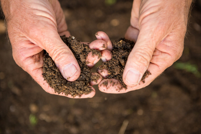 What To Plant In February Garden Soil in Hands