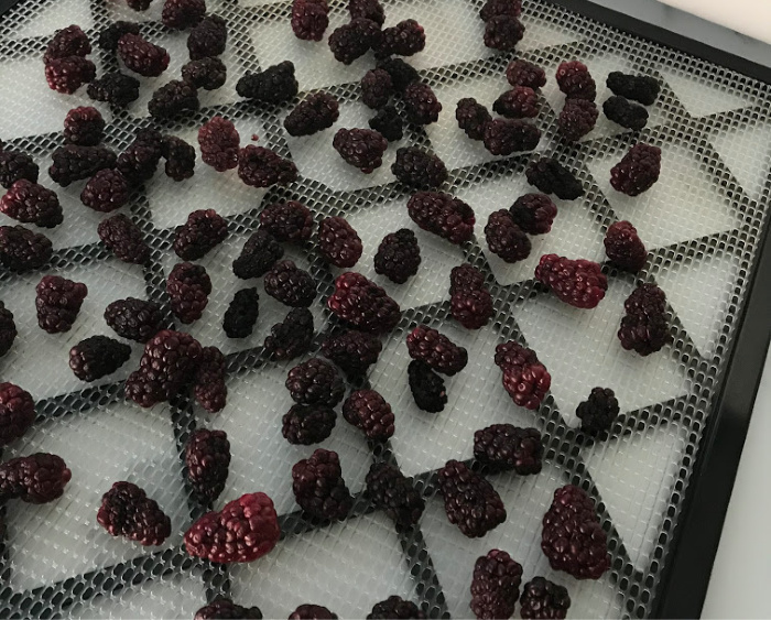Blackberries Dehydrated on rack