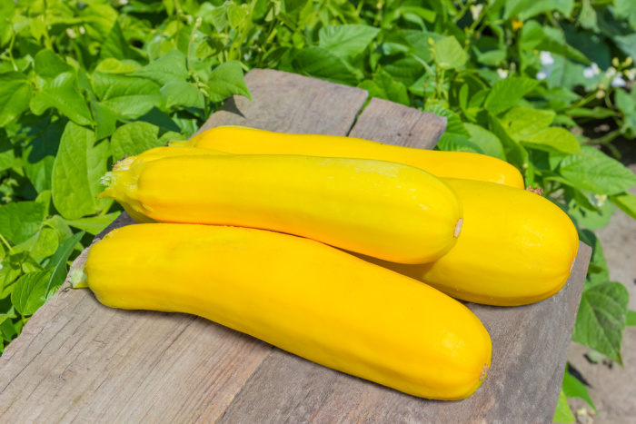 Yellow squash on a board