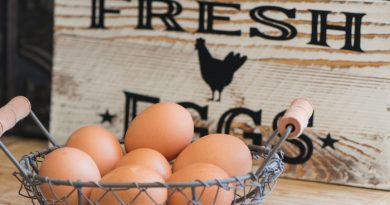 Fresh eggs in a basket