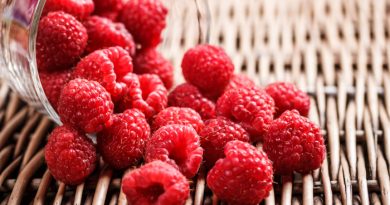 Dehydrated Raspberries