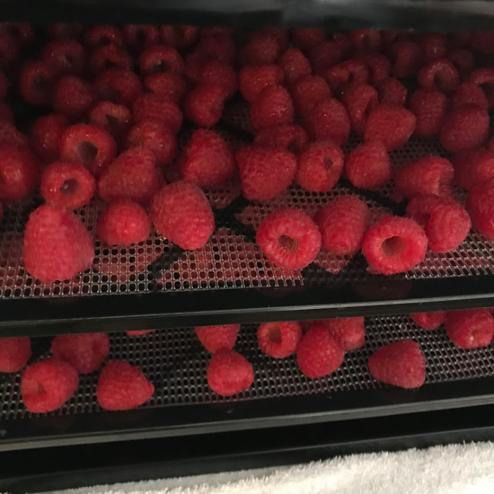 Fresh Raspberries in the Dehydrator