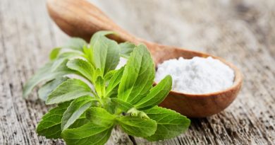 Stevia leaves and powder on wood plank
