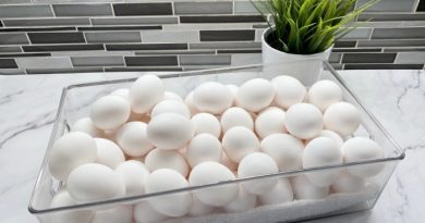 15 Effective Egg Substitute Ideas