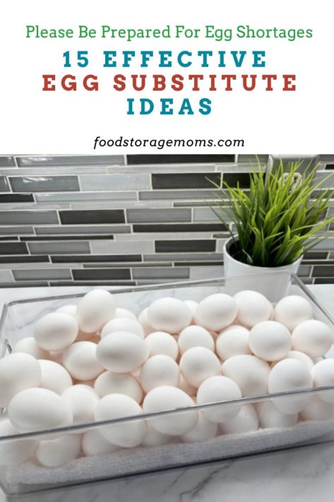 15 Effective Egg Substitute Ideas