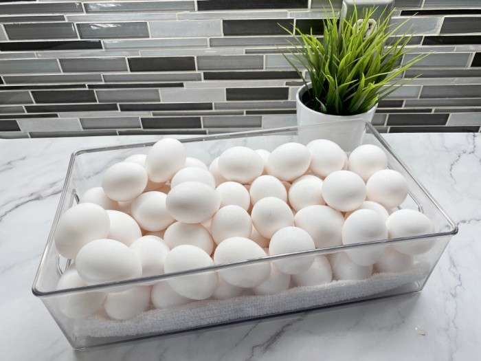 15 Effective Egg Substitute Ideas