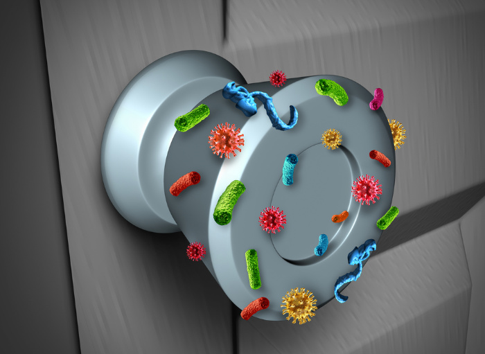 Bacteria: Everything You Need to Know