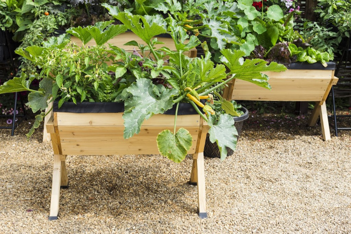 Container Gardens: Everything You Need To Know